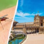 Туристів попередили про смертельний вірус, що вирує в Іспанії та Італії