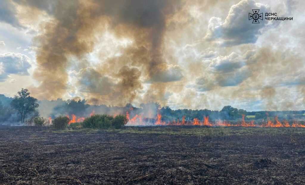 пожежа поля на Черкащині