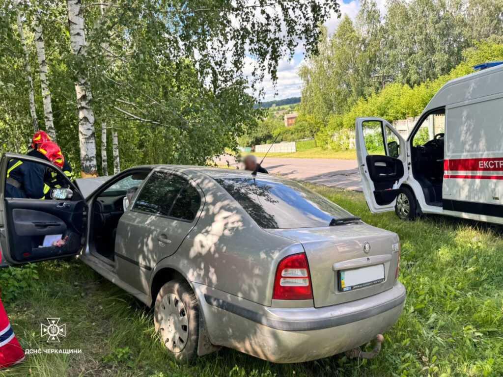 В автопригоді на Уманщині постраждав водій — фото