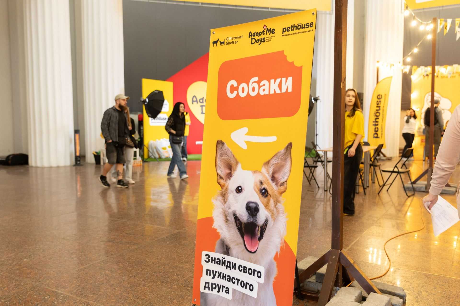 Фестиваль адопції тварин