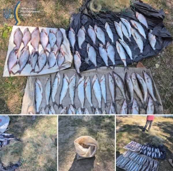 026280b1eed25eb709efcb04b3ff5280