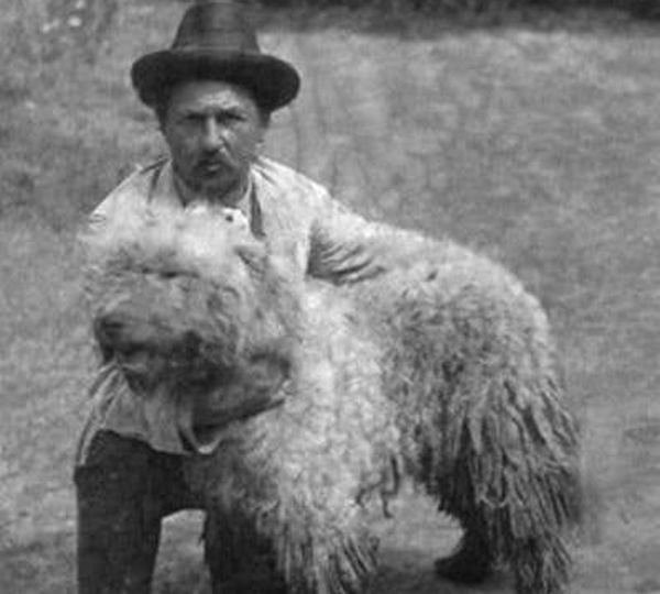 8f4bdbe3717399dd5dffec19713406c5