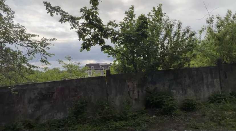 стіна і дерева