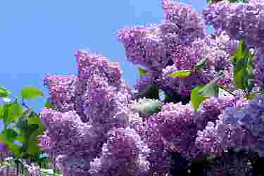 6d3581b4eaf27ca7c2ab3bf5b042b4f1