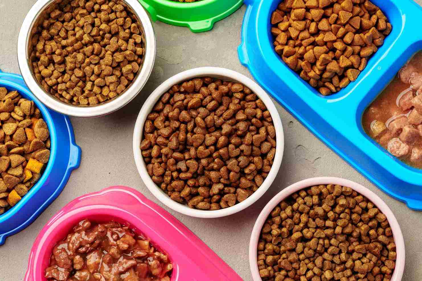 Корм Royal Canin для собак: как выбрать линейку по возрасту, размеру и образу жизни