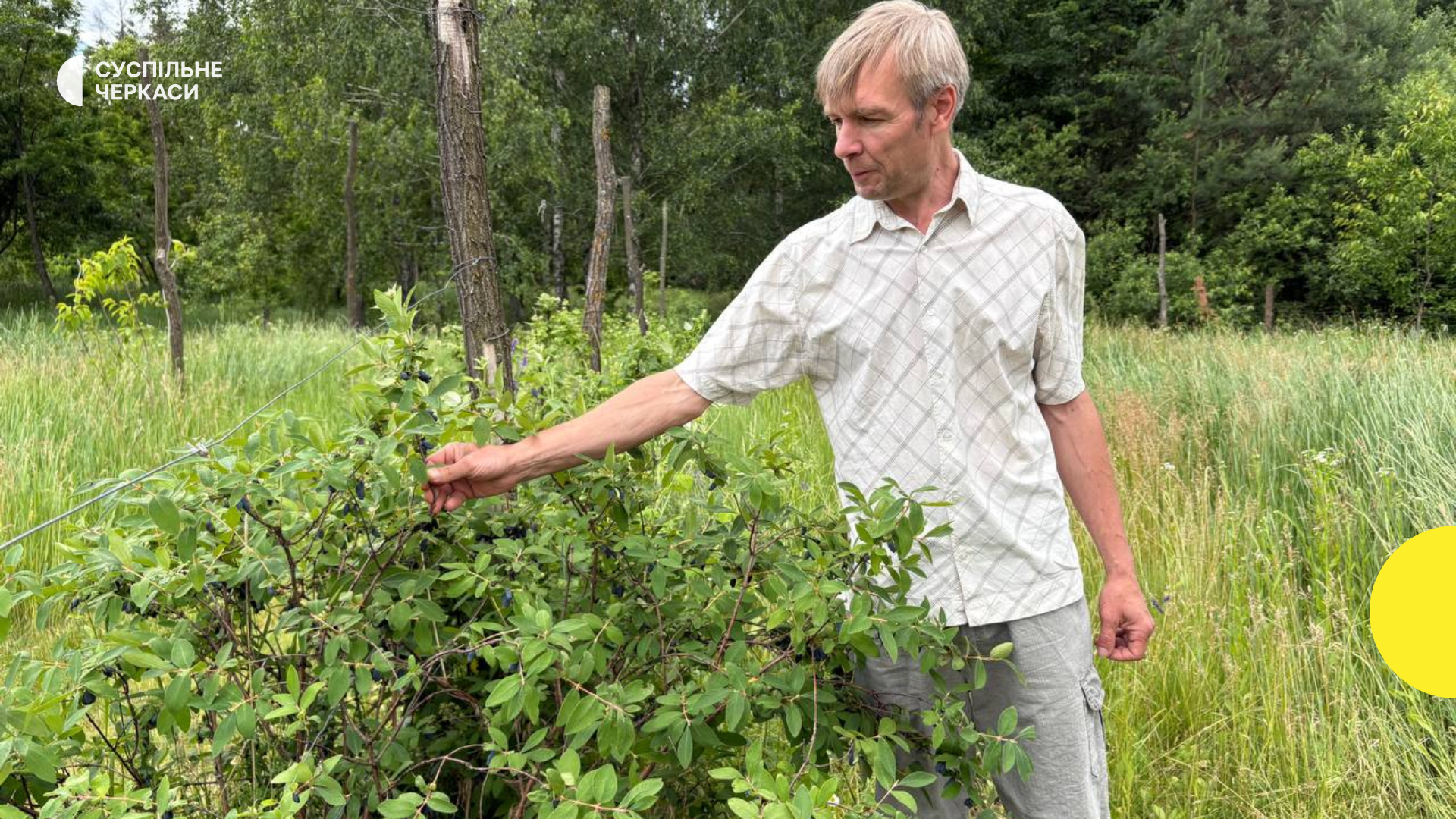 На Черкащині: лісовий хутір, де родина веде своє унікальне господарство.