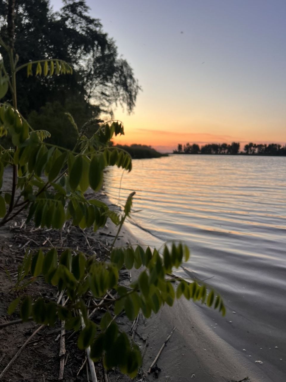Вихідні липня у Черкасах: феєрія літа! ☀️🌊 Ідеї для незабутнього відпочинку